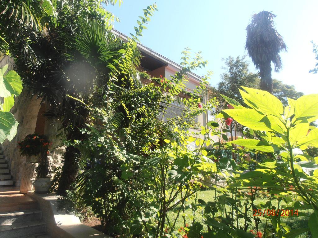 Apartma Polomcic